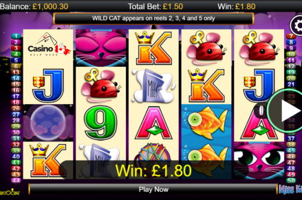 Miss Kitty Slot Machine