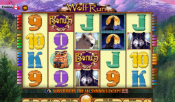 Wolf Run Slot Machine